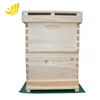 Beekeeping Langstroth Beehive Bee hive Two Layer Hive with Full Hive Frame
