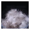 Wholesale 2-4cm Washed grey Duck/Goose Down Feather for sale