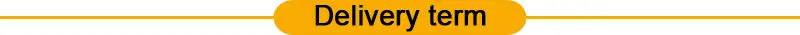 Delivery term