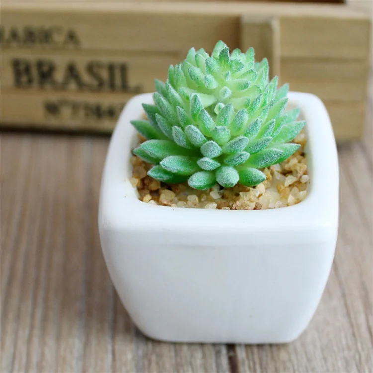 Wholesale Bonsai Plastic Plants Artificial Succulent Plants Artificial