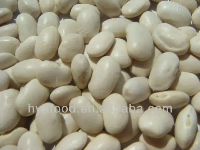white kidney beans6.jpg