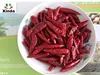 Chinese whole chilli TOP Chaotian chilli, best saling red dried chilli
