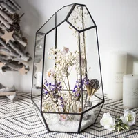 

2019 new black frame large geometric glass flower pot planter glass terrarium for garden home decoration