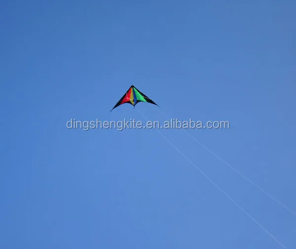 DSC_08131.jpg