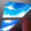 3d digital UV printing pvc stretch ceiling film, MSD pvc ceiling film stretched