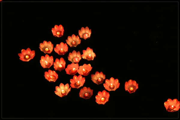 lotus floating lanterns