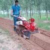 Mini model agri rotavator farm machinery--China