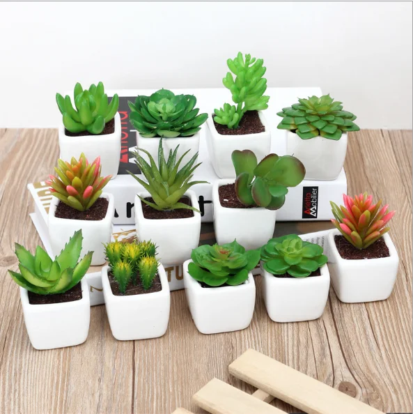 

Home decorative tropical artificial mini ceramic potted succulent green plants, Green red white yellow