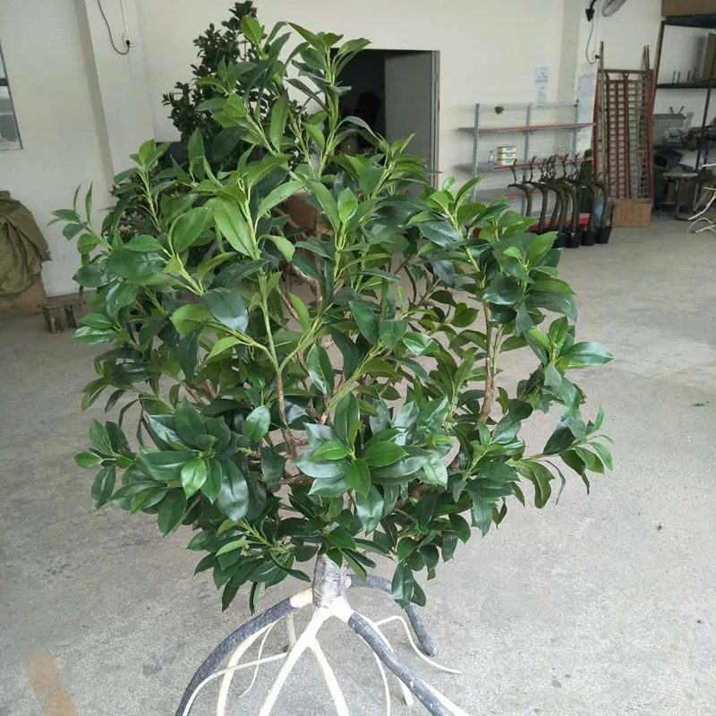 Plastic Faux Green Plant Artificial Mangrove Tree For Indoor Outdoor