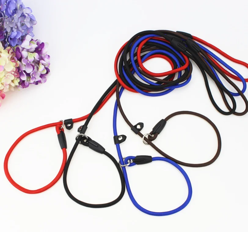 Dog Collar Leash (1).png