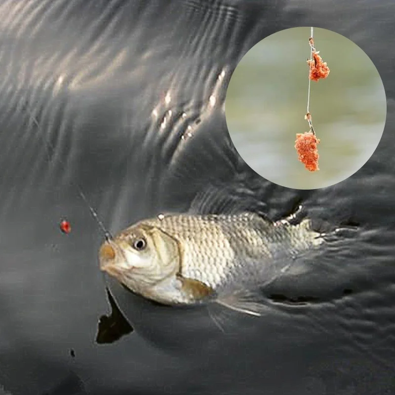 

Red worm crucian carp fishy fragrance swelling particle bait food for big fat head fish silver carp carp fish bait Bait for fish, 9 colors