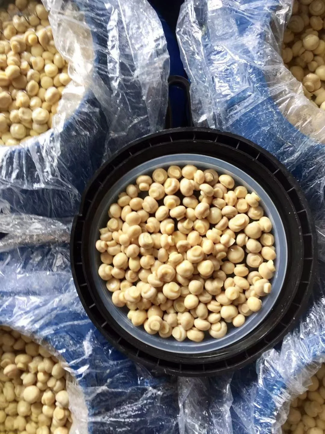 
New crop fresh mushroom in brine 