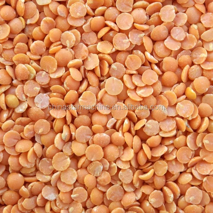 split lentils1.JPG
