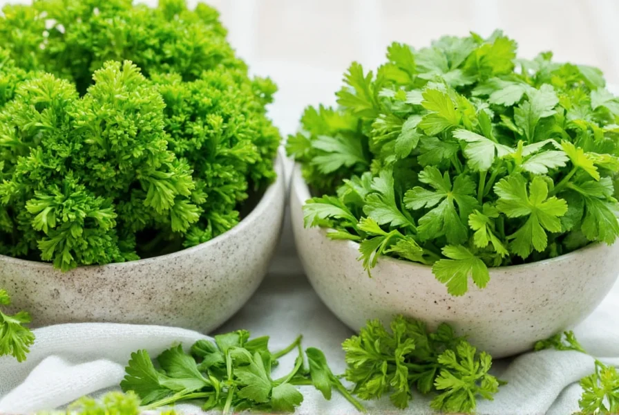 Parsley vs Cilantro Decision Tree Infographic