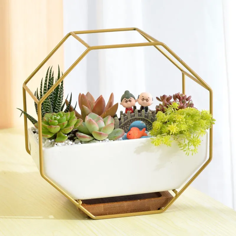 

ceramic wall mounted succulent small plant flow indoor ceramic flower pot