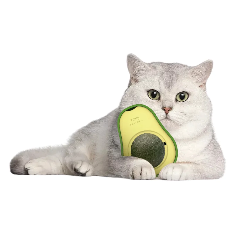

Avocado Catnip Ball Wood Celestial Gall Fruit Licking Happy Teeth Molaring Cleaning Funny Cat Baseball