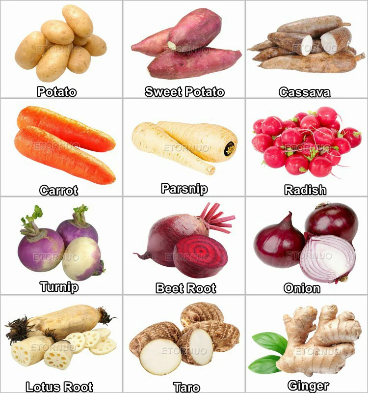 high efficiency full automatic brush roller carrot