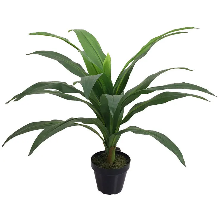 

Home Garden Decorative Plastic Artificial Dracaena Fragrans Plants Bonsai Tree, Green