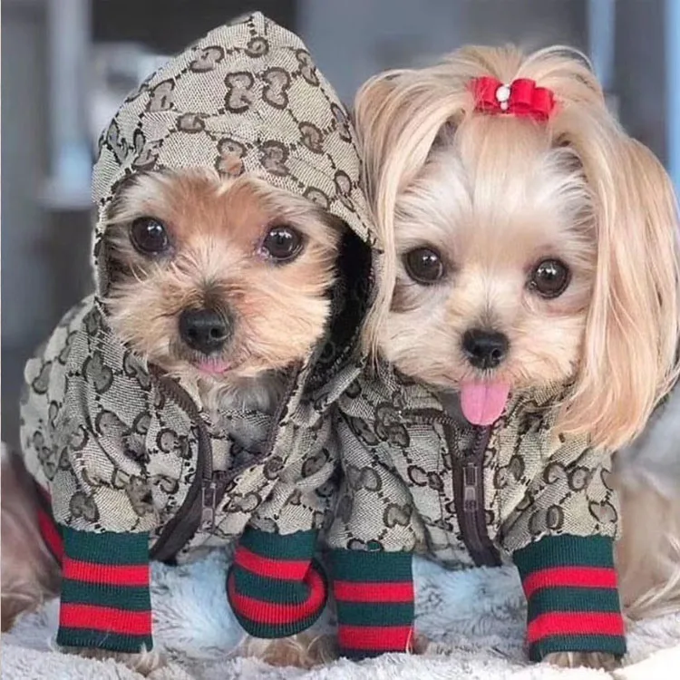 

Luxury pet clothes fashion designer dog jacket french bulldog coat zipper dog hooded clothes