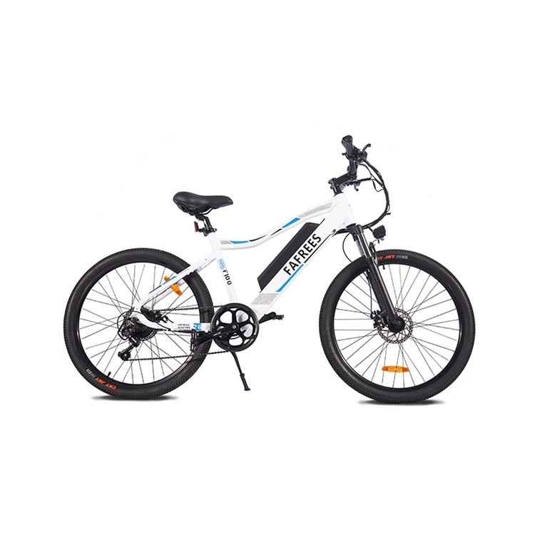 

Professional Manufacture Cheap Bike Battery Electric Bicycle