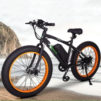 

Most Popular lithium battery 48V fat bike electrique 26 inch snow e bike with CE