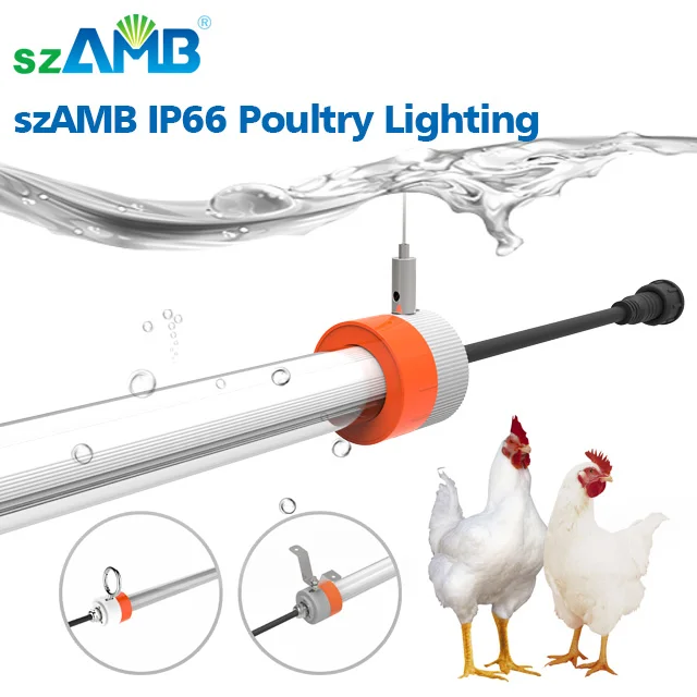 IP66 Waterproof Dimmable Flicker free LED Poultry Light Corrosion Free T8 Tube for Chicken Farm