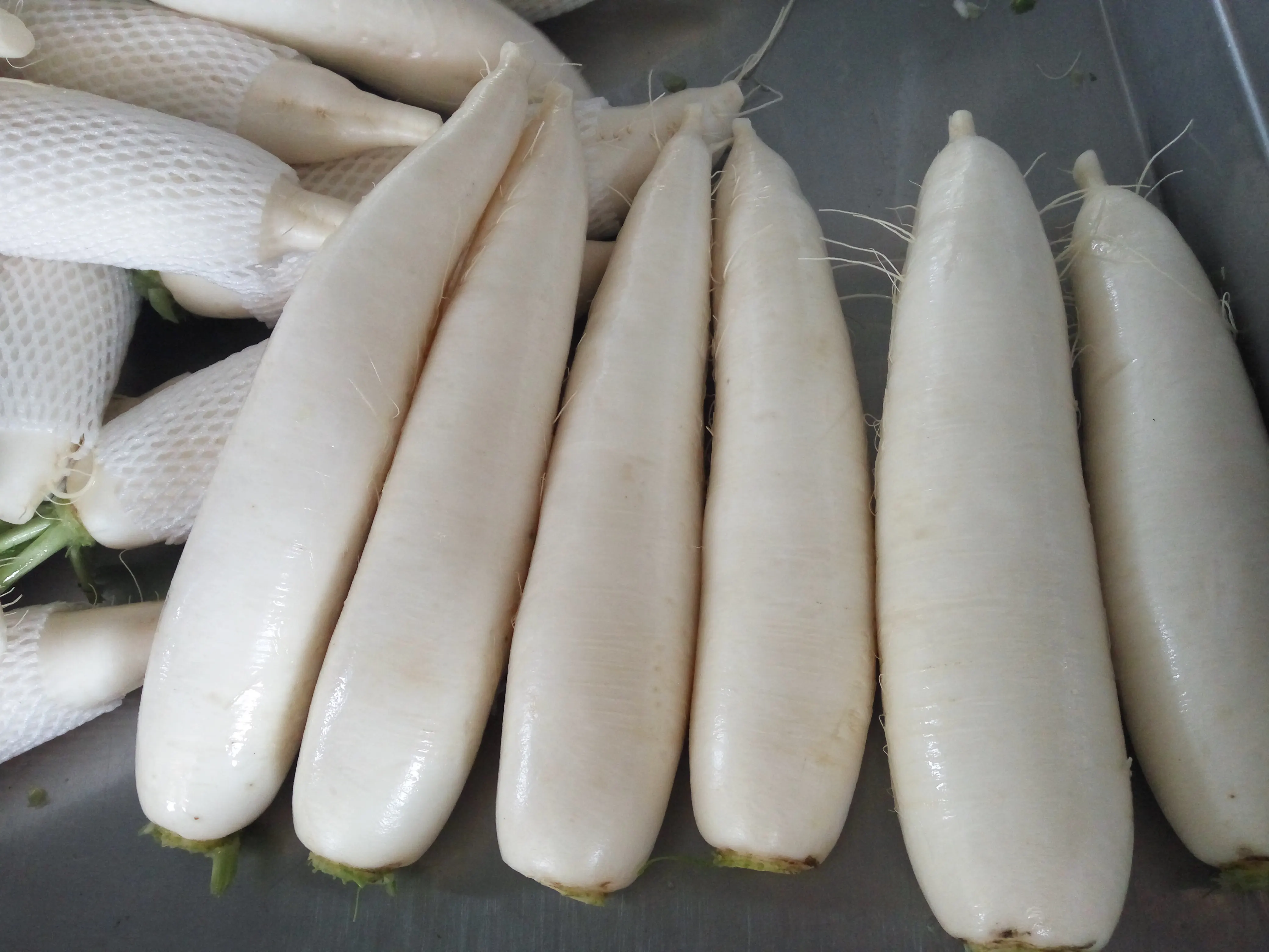 IMG_20170520_095818(1)