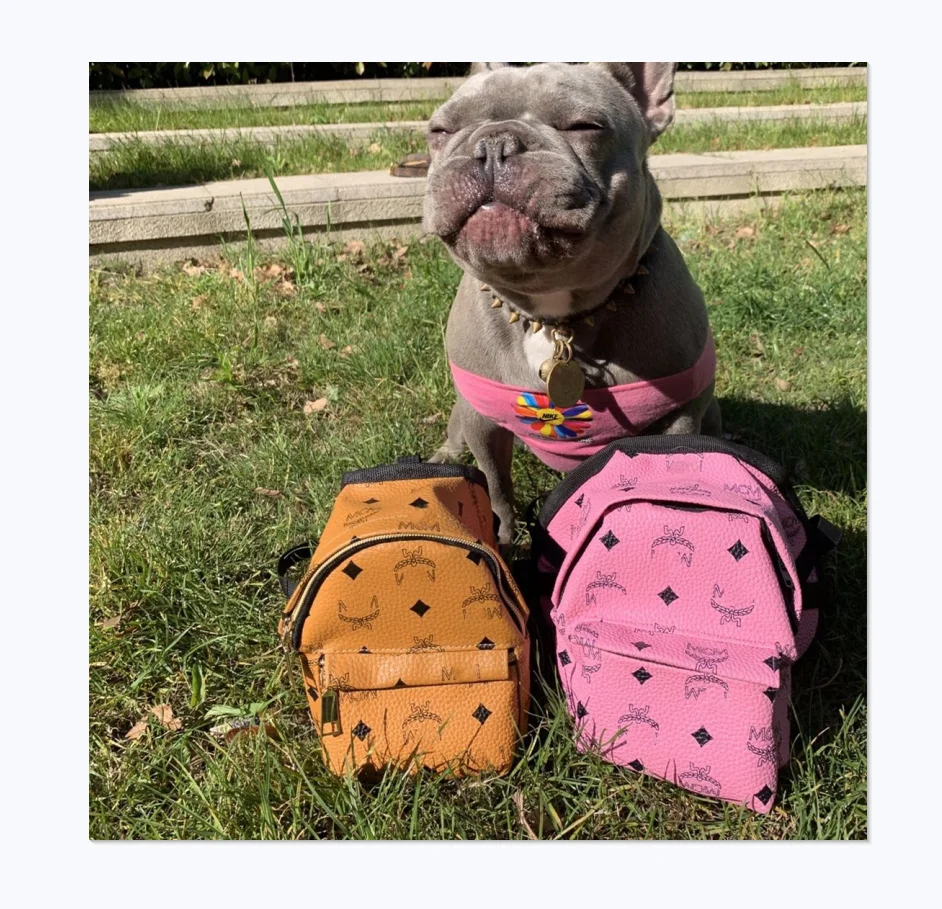 

Trendy Brand Yellow And Pink Classic Design Leather Cute Pet Dog Backpack
