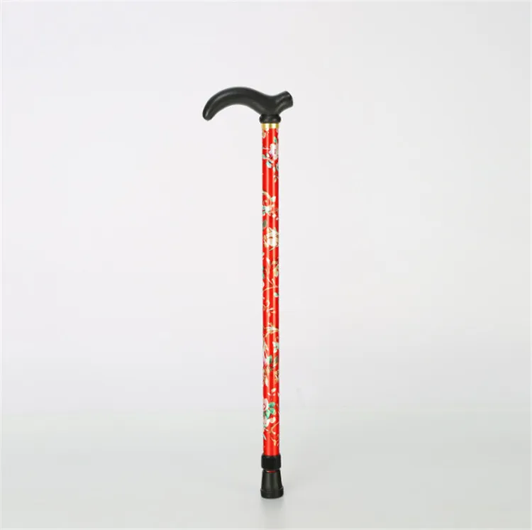 walking stick (11).jpg