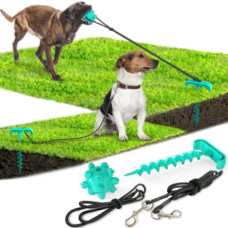 

Outdoor Portable Sturdy Dog Leash Chew Rope Toys Set Stake Tie Out Cable Tug War Ground Spiral Anchor Pet Molar Bite
