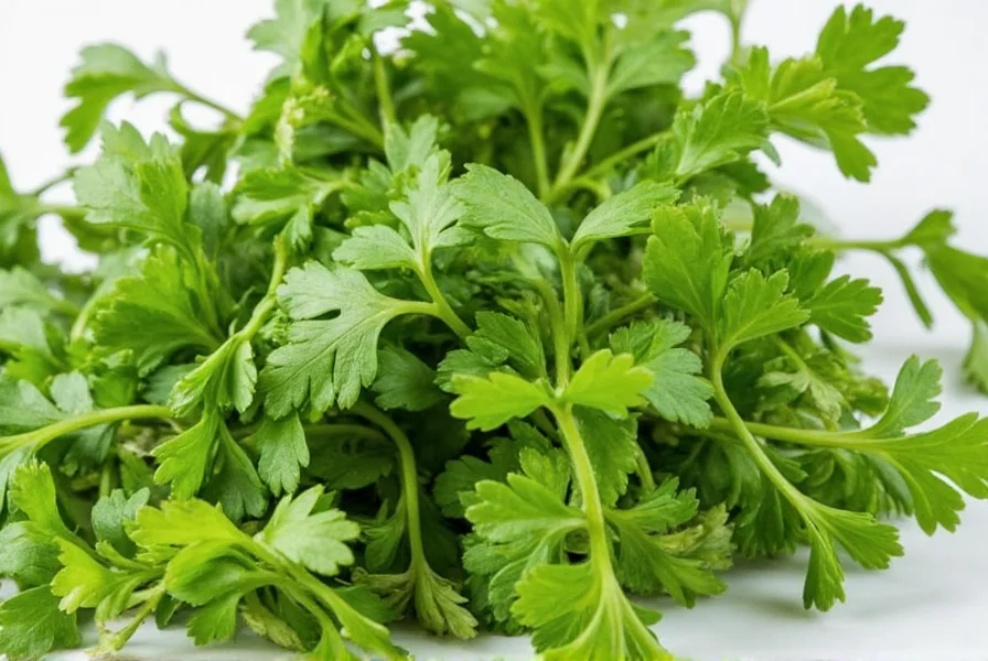 Parsley salad