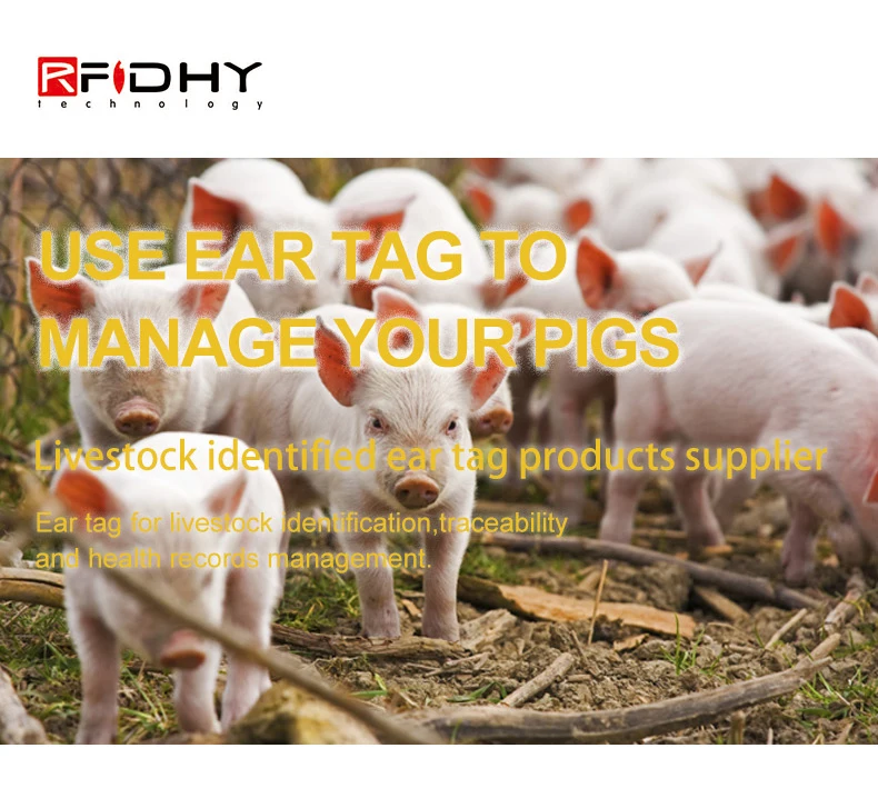 Pig Ear Tag_01