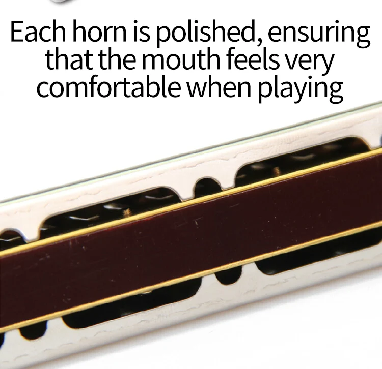 Swan SW28-2 28 Holes Harmonica With Case Ckey