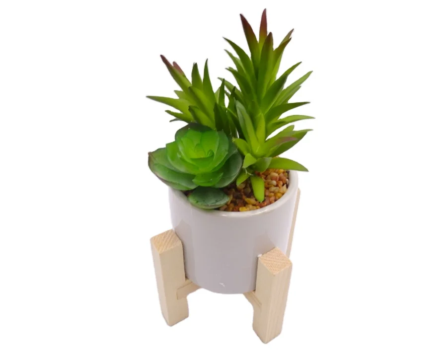 

Factory Wholesale Cute Cactus Faux Potted Popular Office Decorative Mini Indoor Succulent Plants Mini Artificial Succulent Plant, Customizable