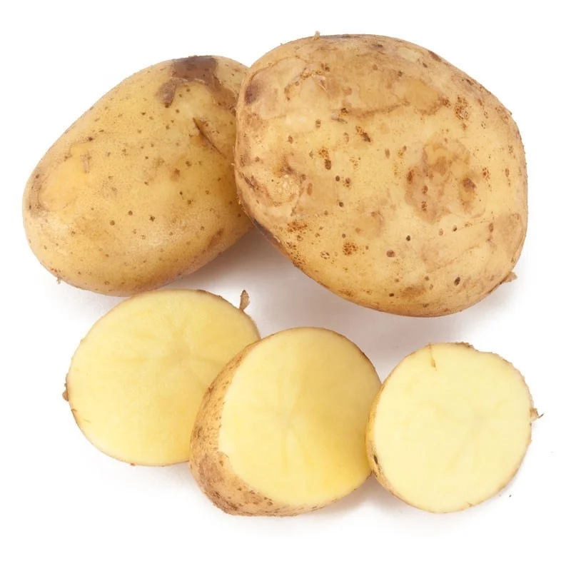 
Mexico Grown POTATO WHITE Fresh Potatoes Robinson Fresh MOQ 50 LBS Quick Delivery in US 
