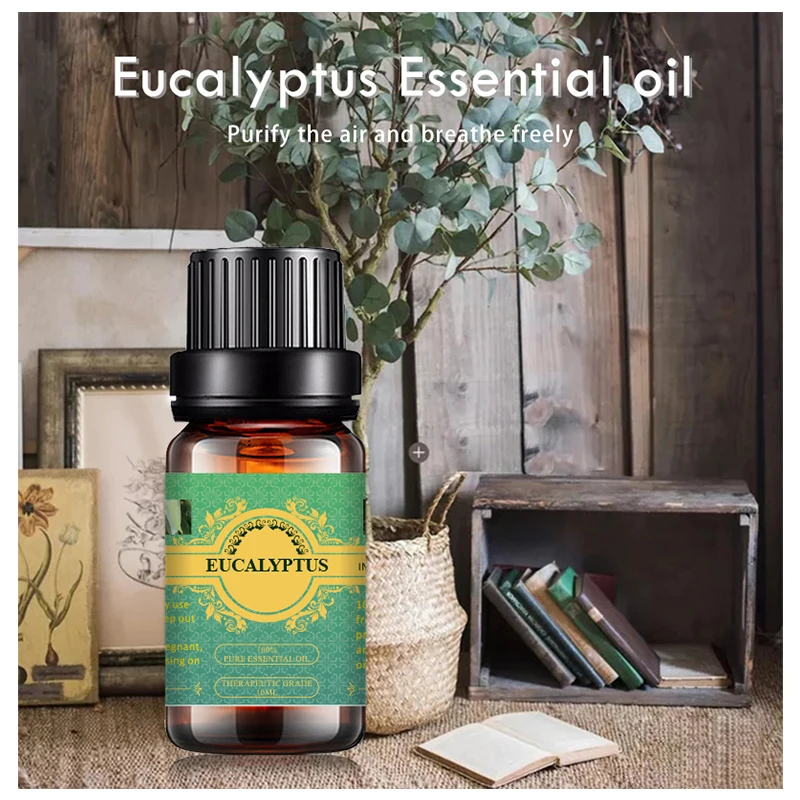 

hot selling bulk wholesale pure natural flavor eucalyptus essential oil eucalyptus oil with low price, Transparent oil liquid