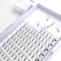 

2019 New Style Premade Fans 6D Heat Bonded Volume lashes C D Curl 0.07mm Thickness Eyelash Extension