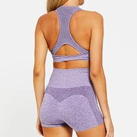 

Ladies Seamless Crop Tops and Booty Shorts Gym Wear