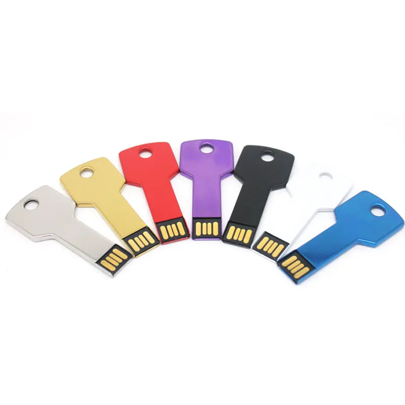 OEM Custom Metal USB Key Shaped Pen Drive 8GB 16GB 32GB Support 2.0 Key Flash Memory USB Stick - ANKUX.COM