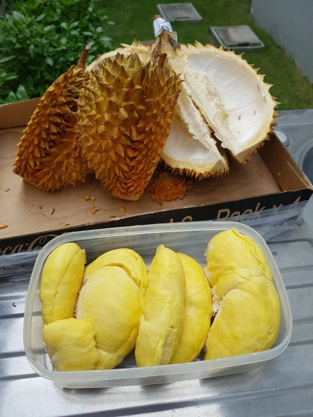 
FRESH DURIAN MONTHONG NO.1 