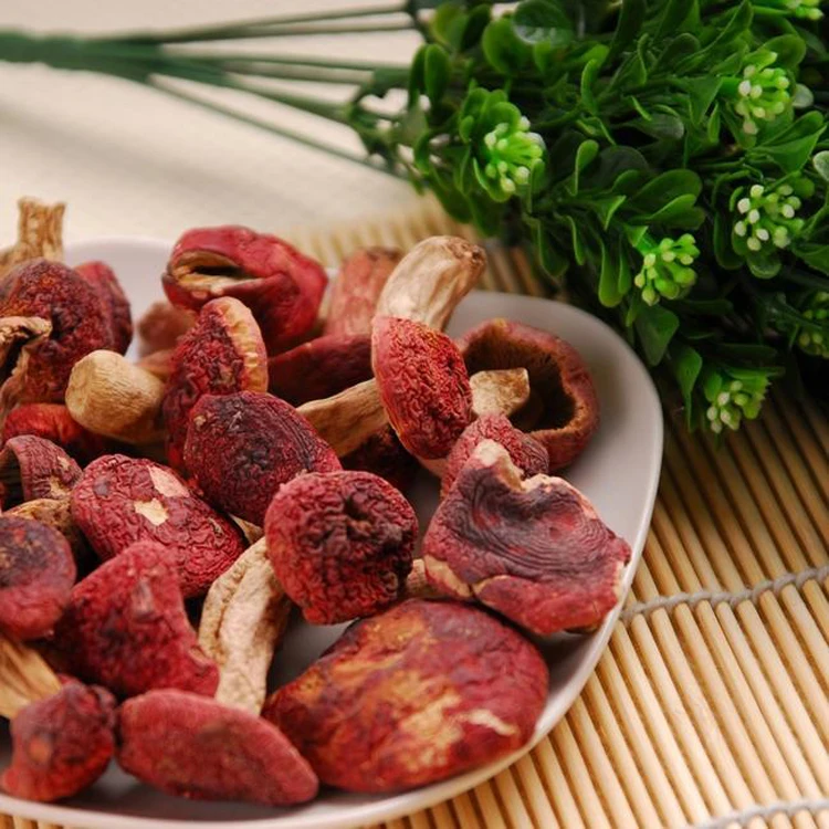 
Low price pollution-free Russula vinosa Lindbl Mushroom 