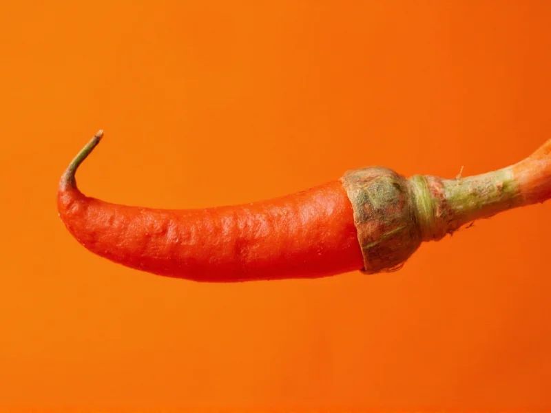 Spicy Orange Color: Meaning, Codes & Design Applications