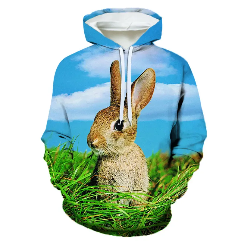 

3d hoodies Mens clothing