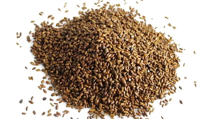 Winter melon lotus tea-18.jpg