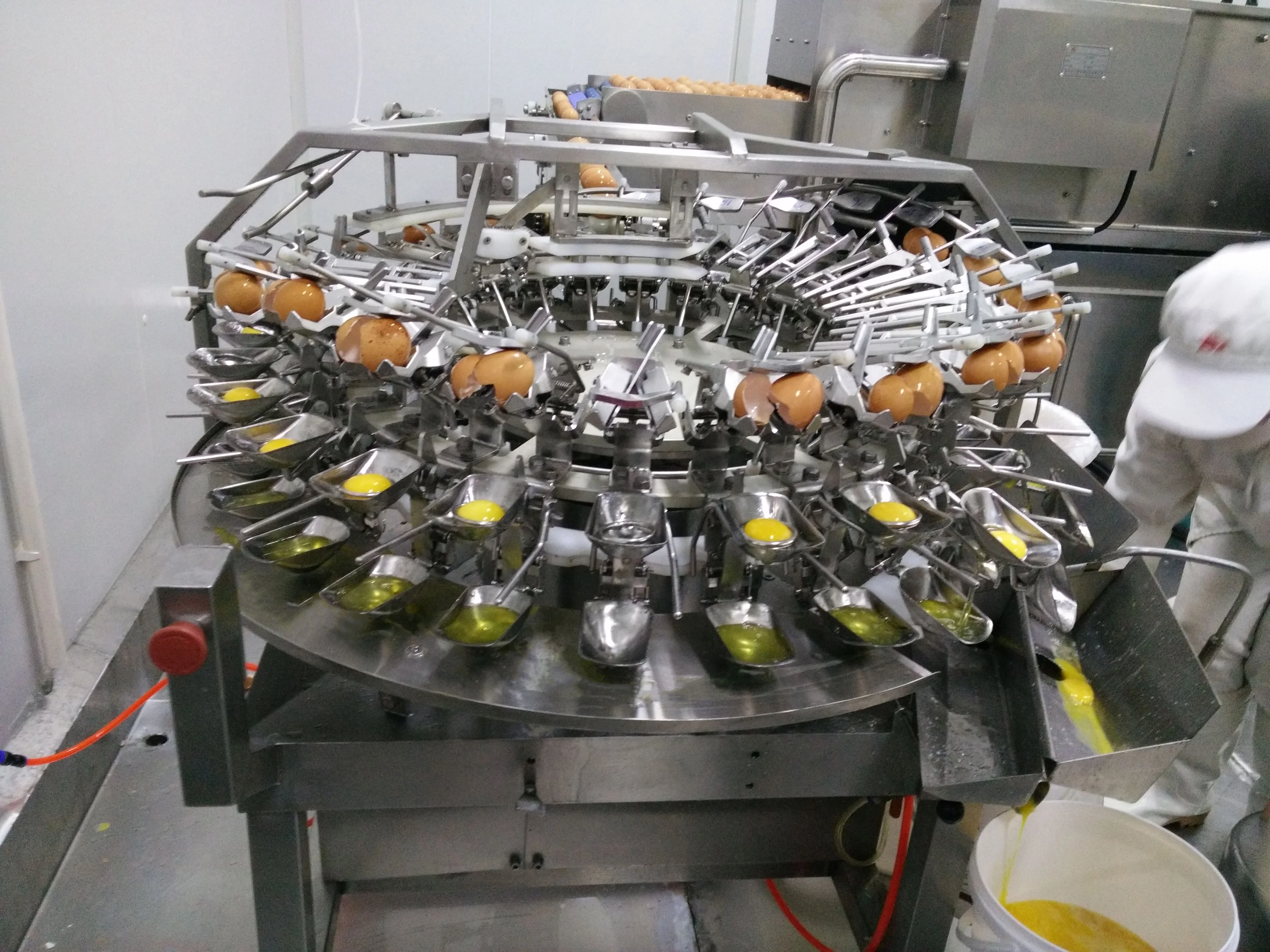 Stainless Steel Industrial Egg Breaking Machine/egg Processing Equipment Buy Stainless Egg