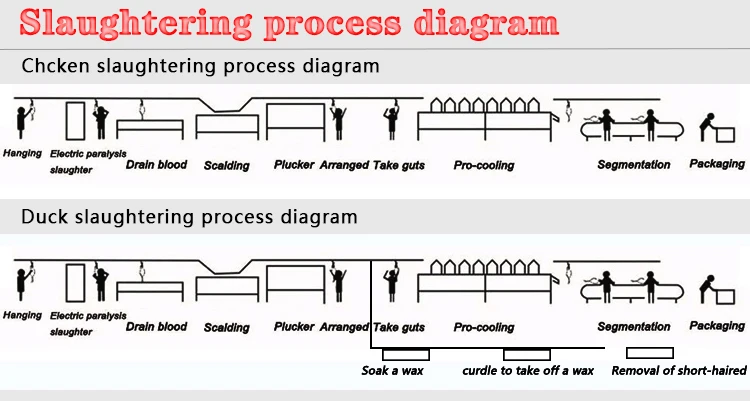 2020 sell well poultry slaughterhouse equipment chicken slaughtering line