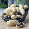 Best quality cheap price black peanuts in shell