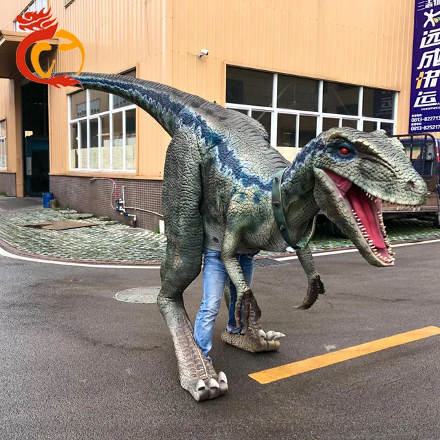 

Adult dinosaur costumes of Velociraptor suit, According to customer's requirement