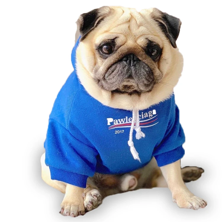 

Fashion Popular Logo Padded Warm Clothes Winter Soft Thickened Blue Plain Dog Hoodies Pet Clothes, Customized color
