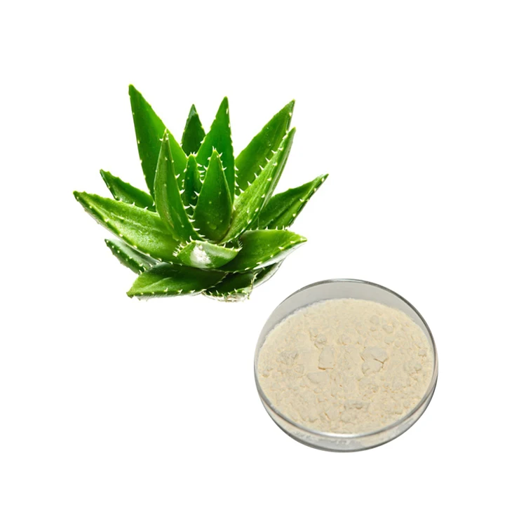 Aloe Vera Gel Powder 2.jpg